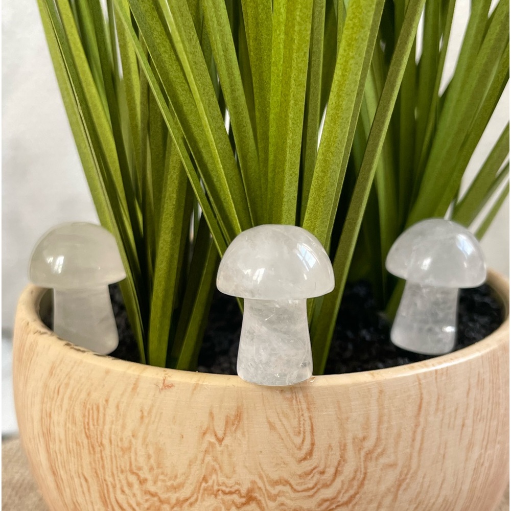 🪬 Mini Mushrooms crystals 🪬